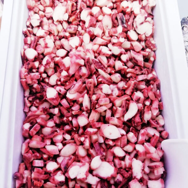tentacoli di totano cotti e tagliati