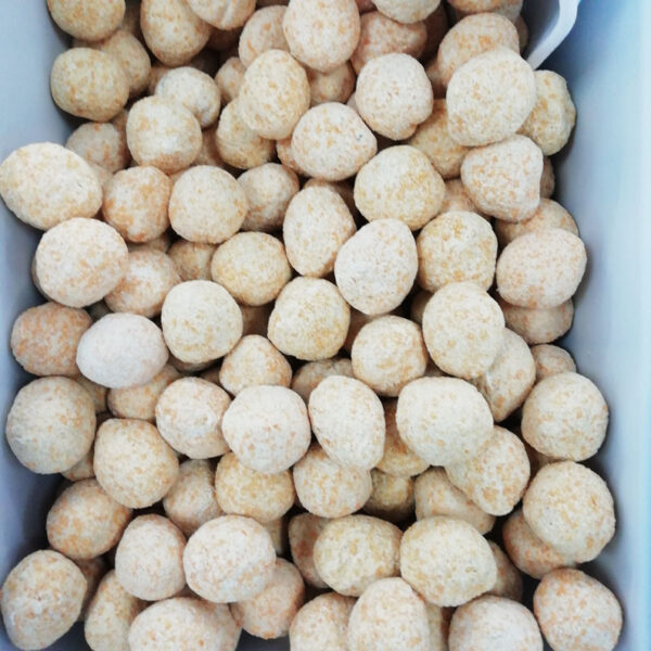 OLIVE ALL'ASCOLANA