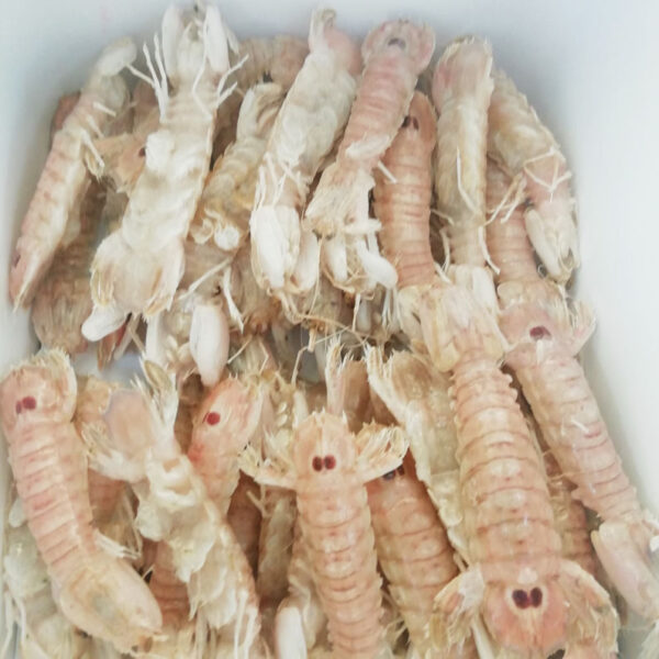 Pannocchie