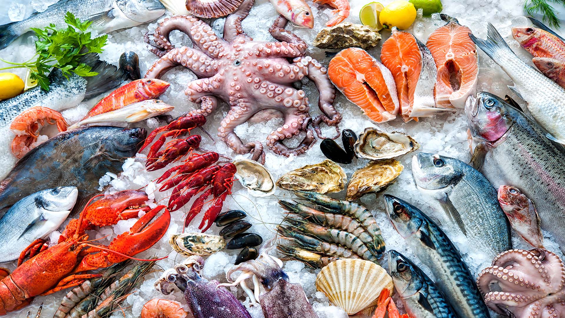 Stupisci i tuoi amici con le nostre ricette