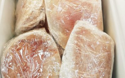 Ali di Razza Gr 200/400