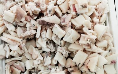 Calamaro tagliato e pulito