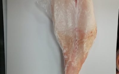 Coda rospo senza pelle congelata a bordo