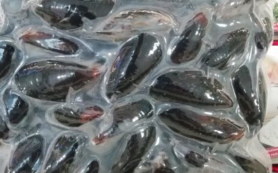 Cozze intere sottovuoto Gr 1000
