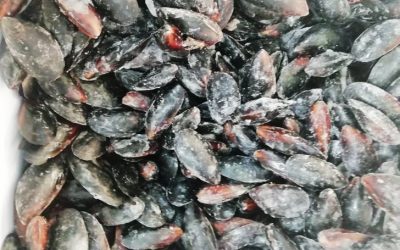 Cozze intere con guscio sfuse