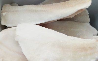 Filetto di Halibut senza pelle