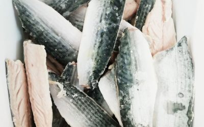 Filetto di Sgombro con pelle