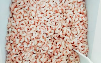 Gamberetto sgusciato e scottato boreale