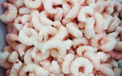 Gambero code sgusciate e scottate indopacifico