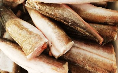 Merluzzo decapitato Gr 300/500