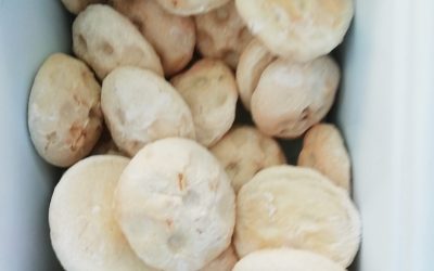 Mini focaccine all’olio