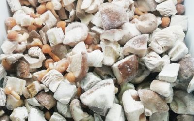 Misto funghi con porcini