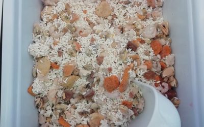 Risotto di mare Gr. 800