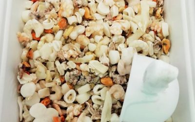 Scoglio tutta polpa senza gusci