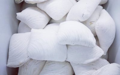 Sfogliatella napoletana