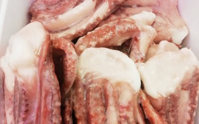 Tentacoli totano interi