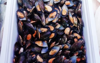 Cozze Cilene mezzo guscio