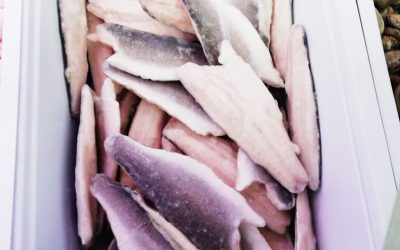 Filetti di branzino con pelle Gr 160/200
