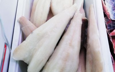 Filetto di baccala leggermente salato prodotto congelato già bagnato