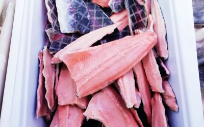 Filetto di Trota salmonata con pelle norvegese