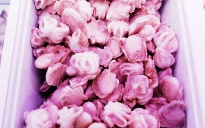 Polipetti piccoli sfusi