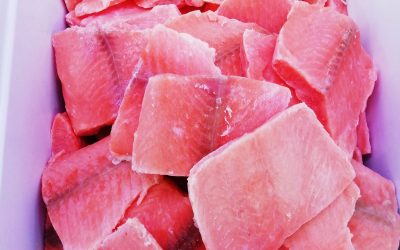 Salmone porzioni senza pelle e senza spine