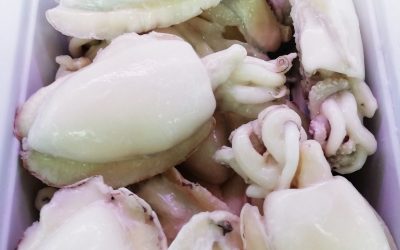 Seppia media alta qualità