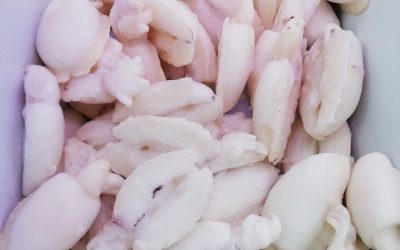 Seppiolina medio/piccola