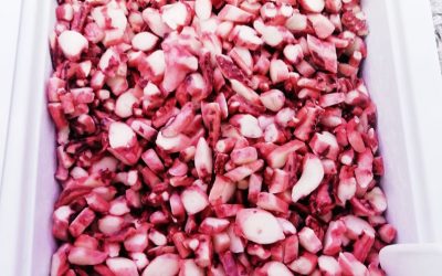 Totano tagliato e scottato